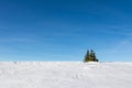 Winter minimalist landscape with snow, sky and trees Royalty Free Stock Photo